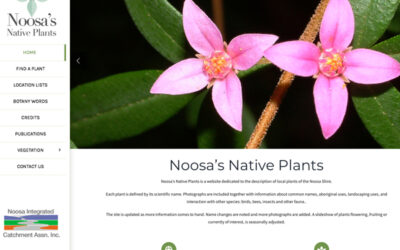 New Noosa’s Native Plants Website