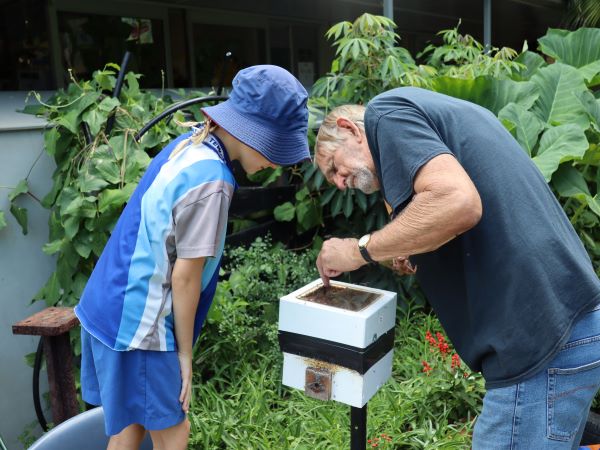 Native Bee Hives at Local Schools