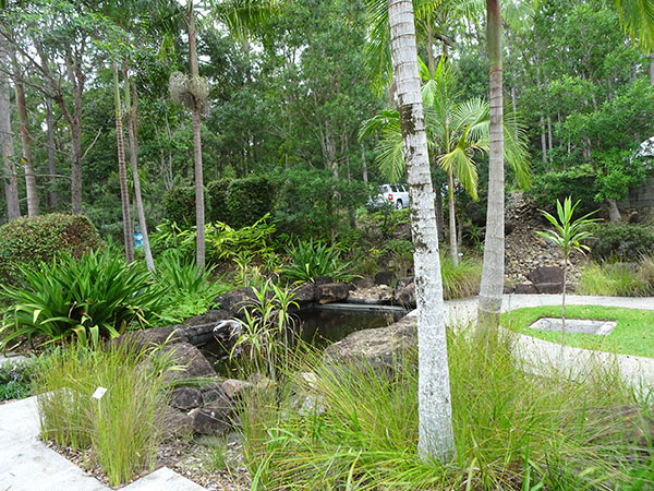 Maroochy Bushland Botanic Gardens