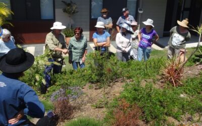 Native Plants Pruning Workshop