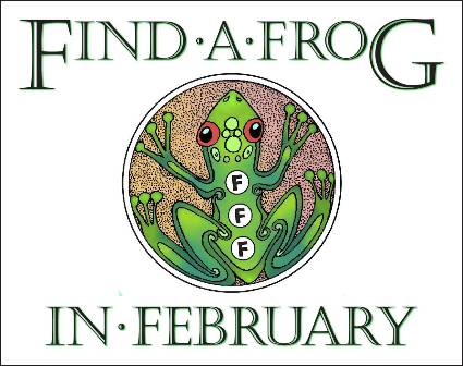 Find a Frog in February