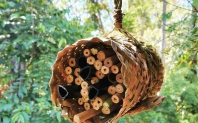 Solitary Bee Hotel