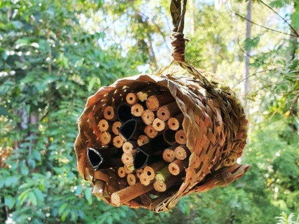 Solitary Bee Hotel