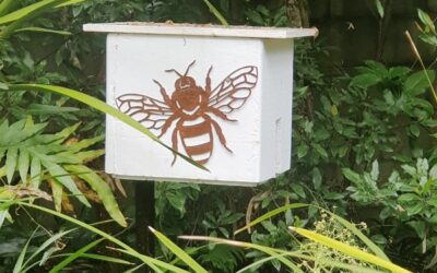 Keeping Native Bees in Your Wildlife Garden