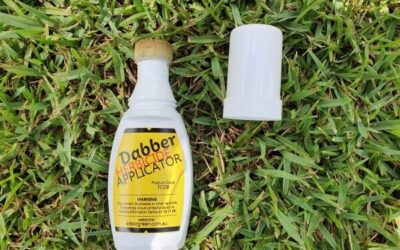 Garden tip February 2023 Herbicide dabbers