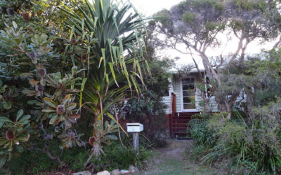 The Delights of a Small Garden