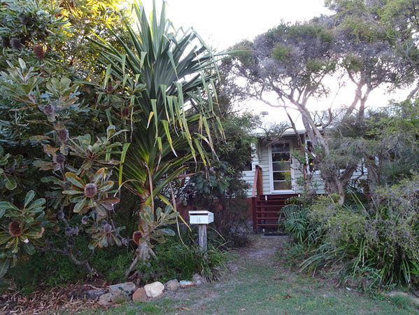 The Delights of a Small Garden