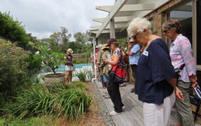 Open Showcase Garden at Castaways Beach