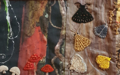 Wildlife Display at Cooroy Library