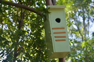 Home-made Nesting Boxes