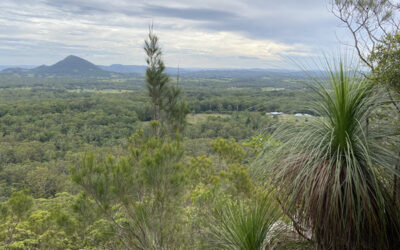 Grass Trees