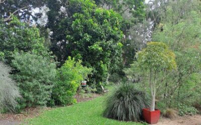 Native Plant Cultivation Workshop with Robert Price