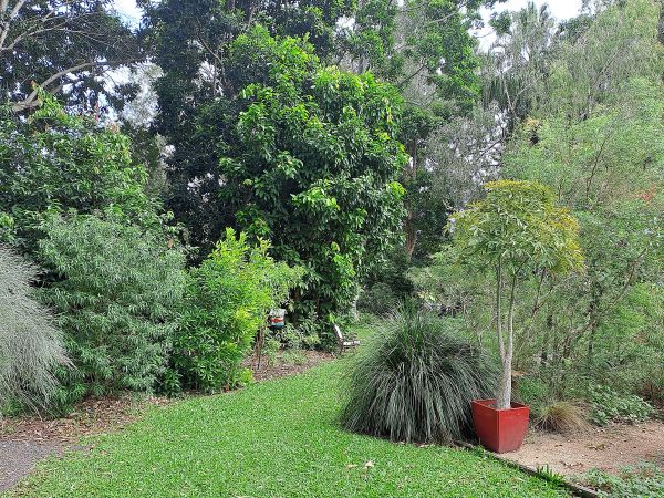 Native Plant Cultivation Workshop with Robert Price