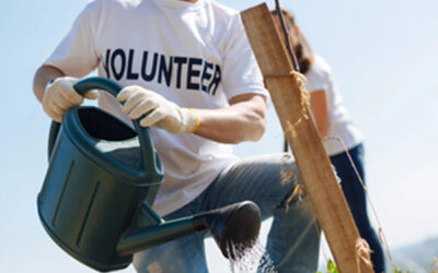 Call for Volunteers for Verge Demonstration Project