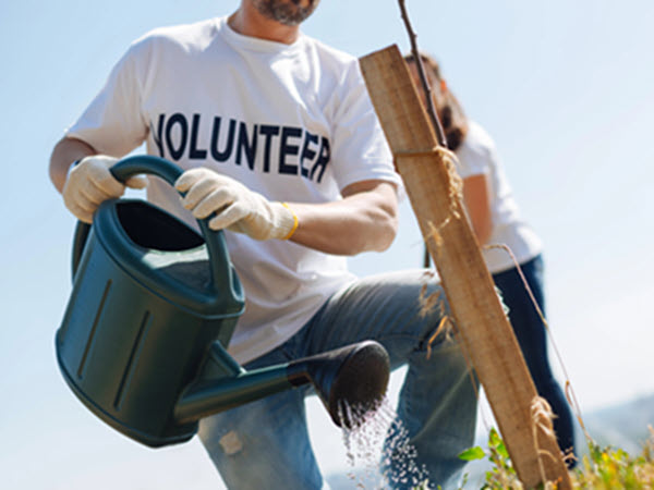 Call for Volunteers for Verge Demonstration Project