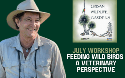 July Workshop : Feeding Wild Birds – A Veterinary perspective
