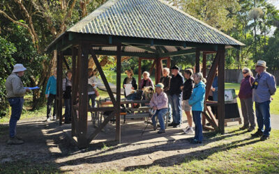Burgess Creek Walk and Talk