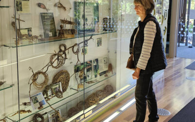 Cooroy Library UWG Display ‘Weaving YOUR garden’