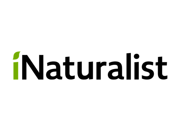 Check Out iNaturalist