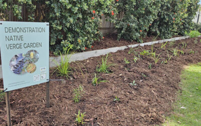 Demonstration Verge Garden Project