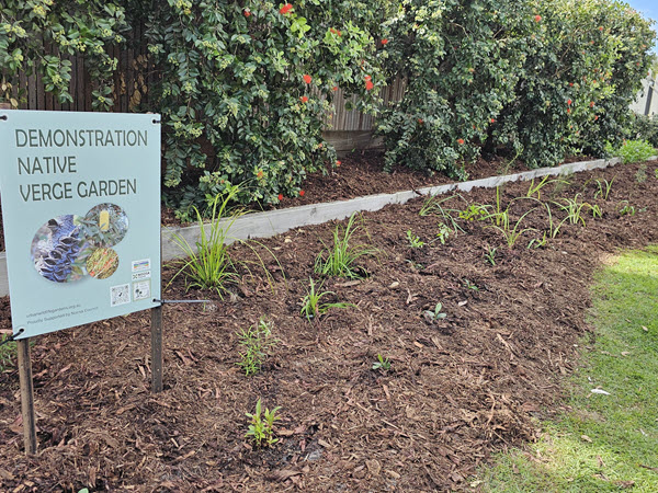 Demonstration Verge Garden Project