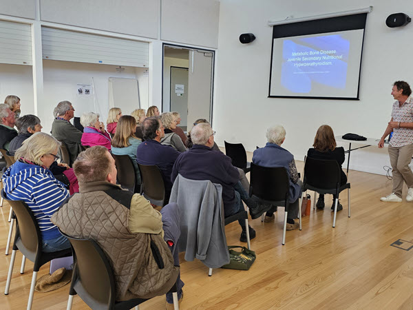 Feeding Wild Birds – A Veterinary Perspective