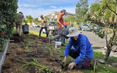 September Verge Gardens in Noosa Shire Workshop