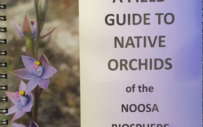 Our Local Native Orchids Workshop – some tips to identify them