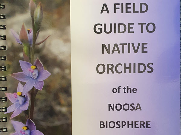 Our Local Native Orchids Workshop – some tips to identify them