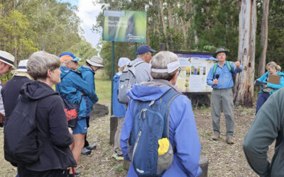 Arthur Harrold Nature Reserve Wildflower Walk