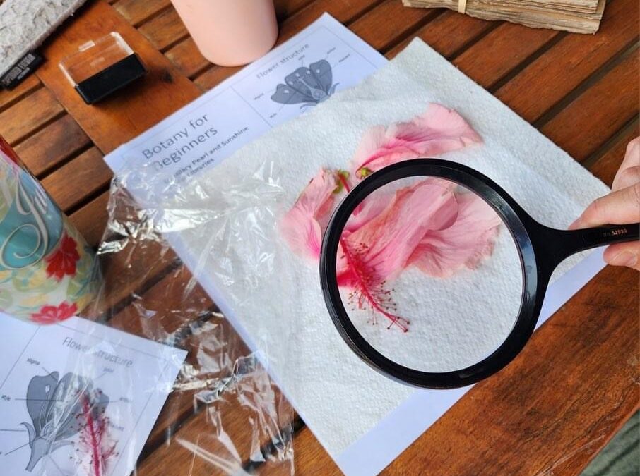 Botany for Beginners