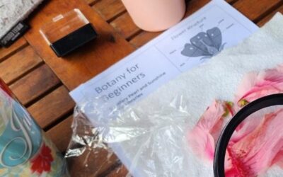 Botany for Beginners