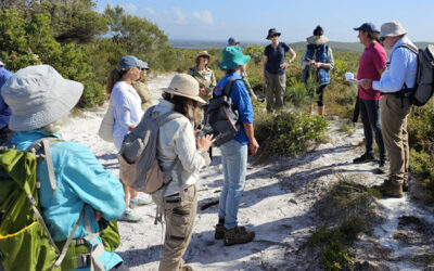 Wildflower Walk and the Battle to Save Marcus High Dunes