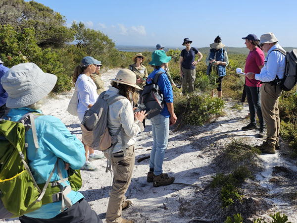 Wildflower Walk and the Battle to Save Marcus High Dunes