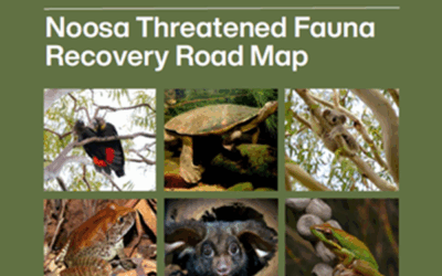 Threatened Fauna in the Noosa Shire Workshop