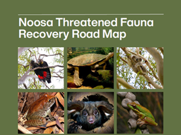 Threatened Fauna in the Noosa Shire Workshop