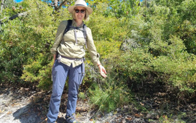 Noosa National Park Headland Wildflower Walk