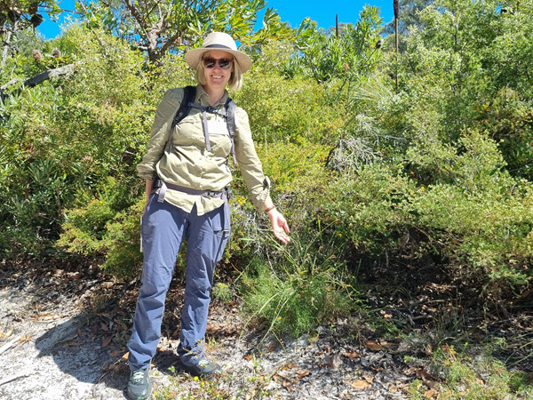 Noosa National Park Headland Wildflower Walk