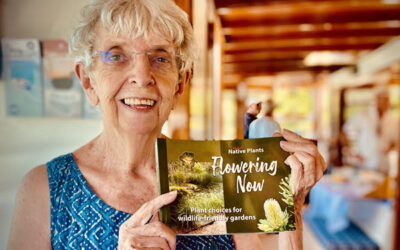 Noosa’ Native Plants – Flowering Now