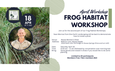 Frog Workshop