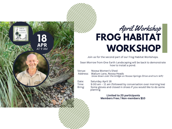 Frog Workshop