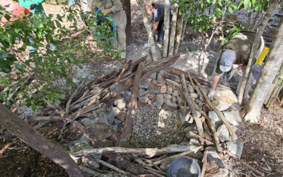 Frog Habitat Workshop Highlights