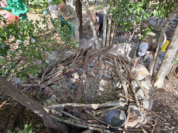 Frog Habitat Workshop Highlights