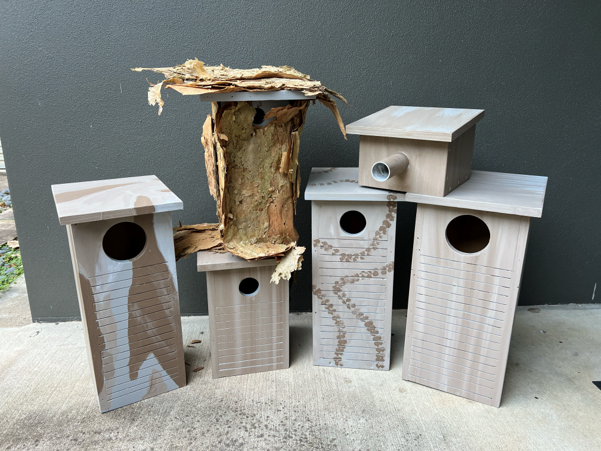 Nest Box Success – Squirrel Glider family makes a home