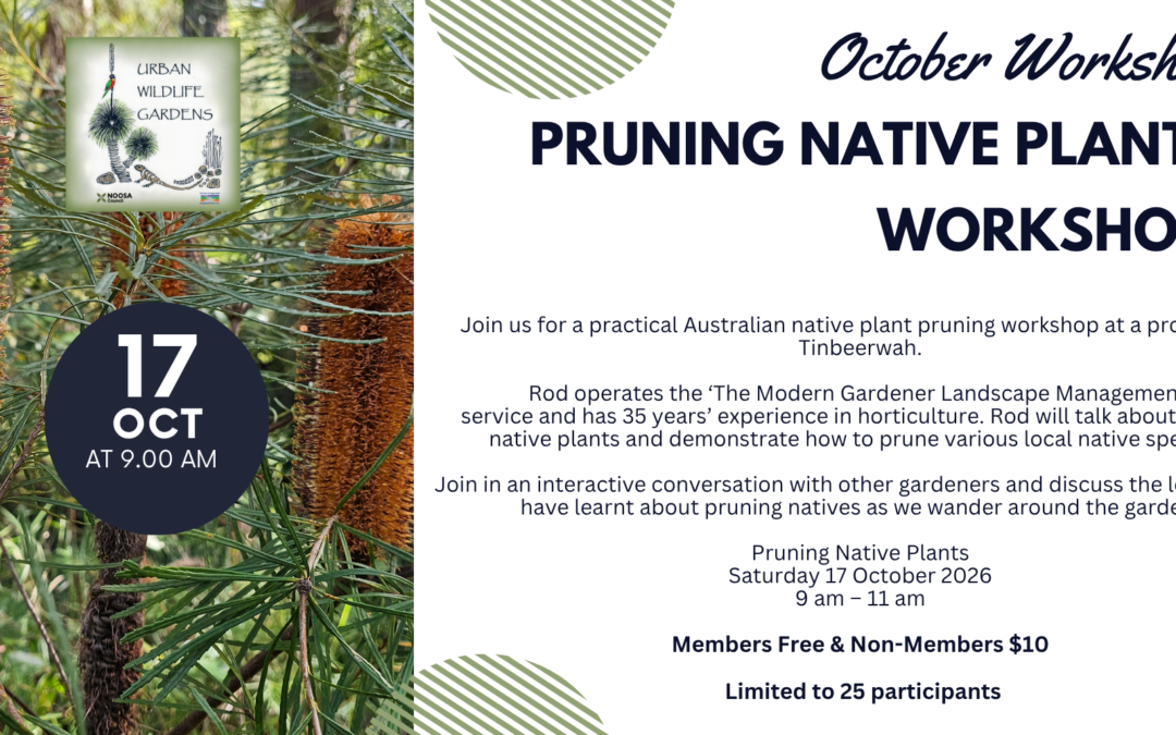 October Workshop – Pruning Native Plants