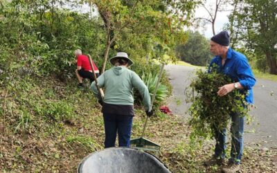 Getting our Native Garden ready for Hotter Drier Weather